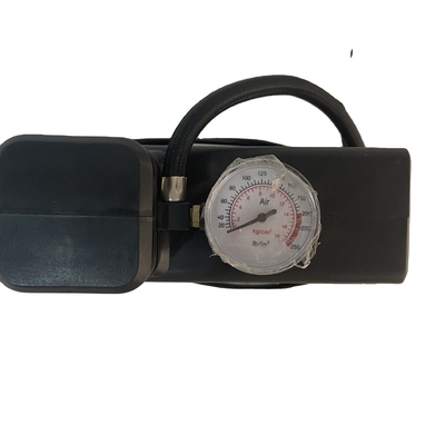 AC110-230V/DC12V परिवर्तनीय वर्तमान नोजल के साथ कार टायर एयर कंप्रेसर